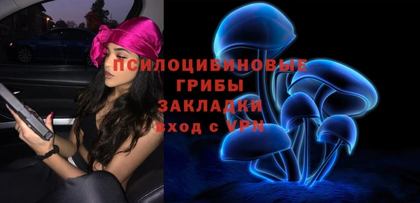 не бодяженный Абаза